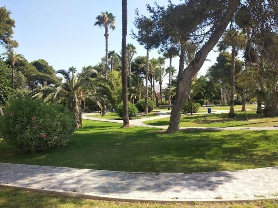 Beautiful Apartment With Patio Torrevieja Dış mekan fotoğraf