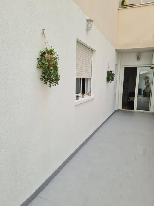 Beautiful Apartment With Patio Torrevieja Dış mekan fotoğraf